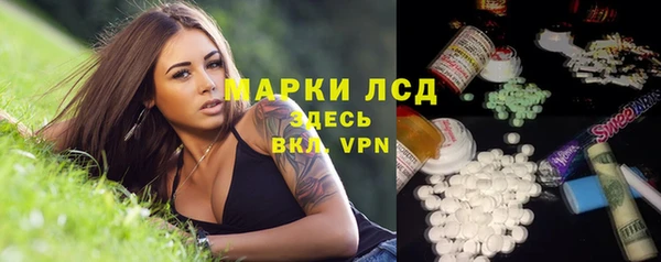 прущие грибы Горно-Алтайск