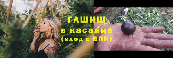 прущие грибы Горно-Алтайск