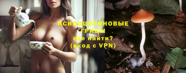 гидропоника Гусиноозёрск