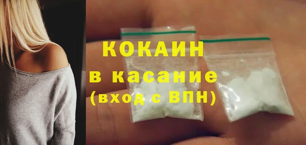 прущие грибы Горно-Алтайск