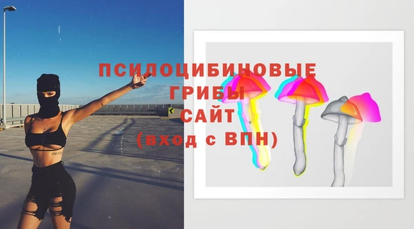 прущие грибы Горно-Алтайск