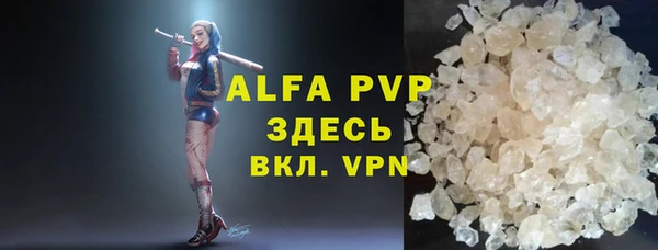 прущие грибы Горно-Алтайск