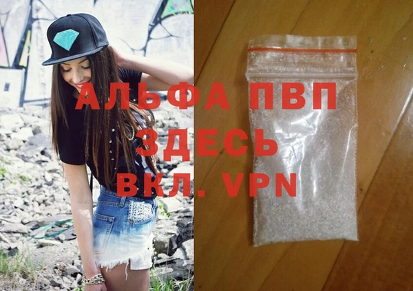 прущие грибы Горно-Алтайск