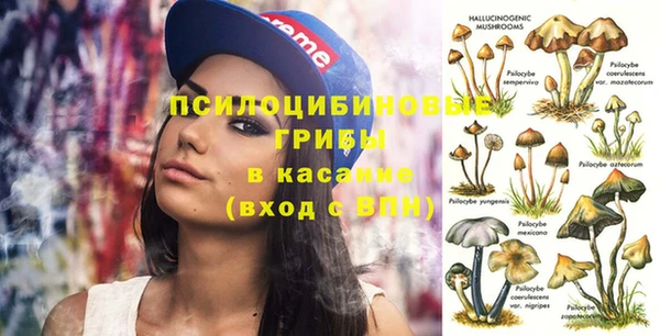 героин Горняк