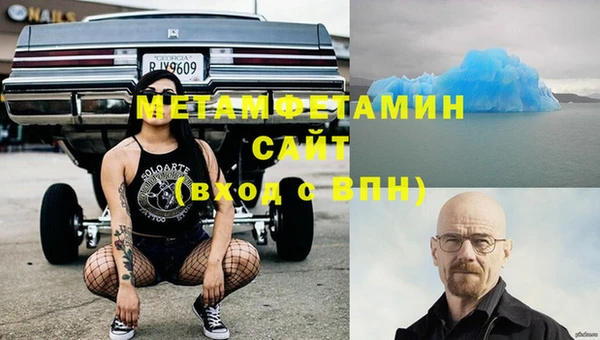 прущие грибы Горно-Алтайск