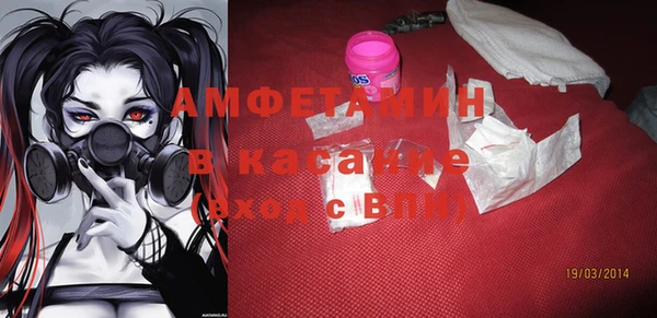 прущие грибы Горно-Алтайск