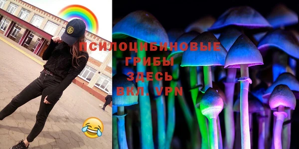 гидропоника Гусиноозёрск