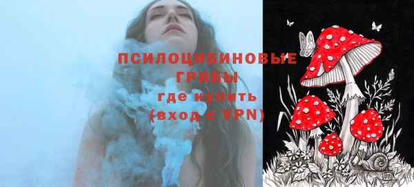 амф Горнозаводск